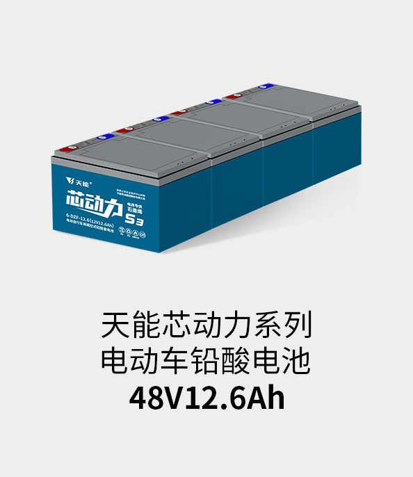 金沙娱场城app下载电池48v12ah