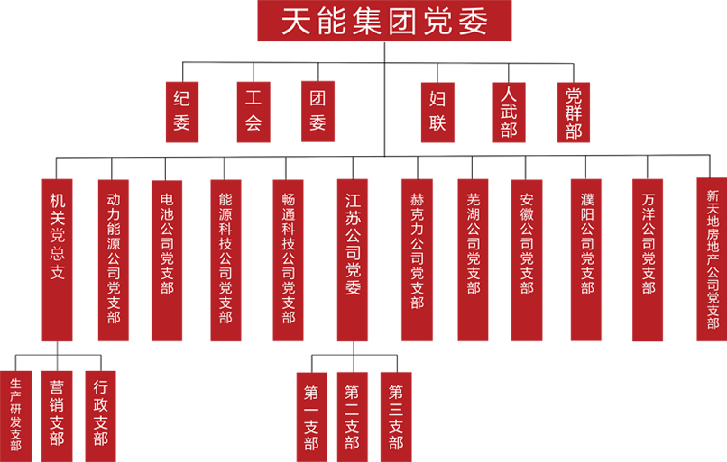 金沙娱场城app下载建团党委组织架构